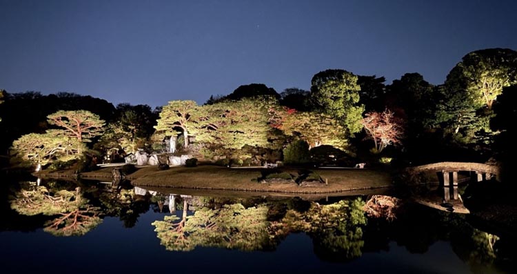 「庭紅葉の六義園　夜間特別観賞」