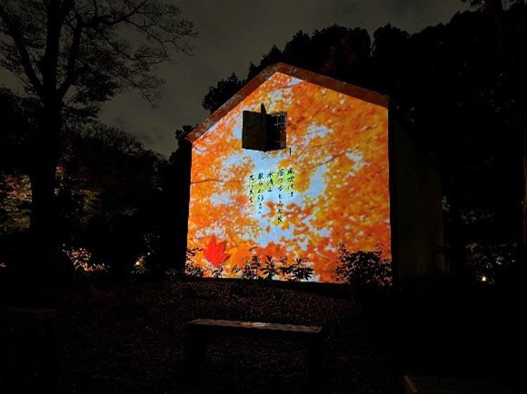 「庭紅葉の六義園　夜間特別観賞」