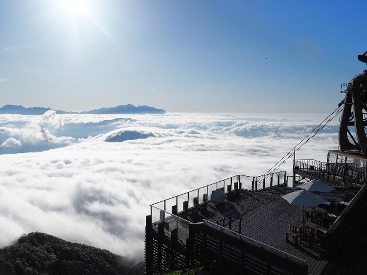 SORA terraceに広がる雲海の絶景